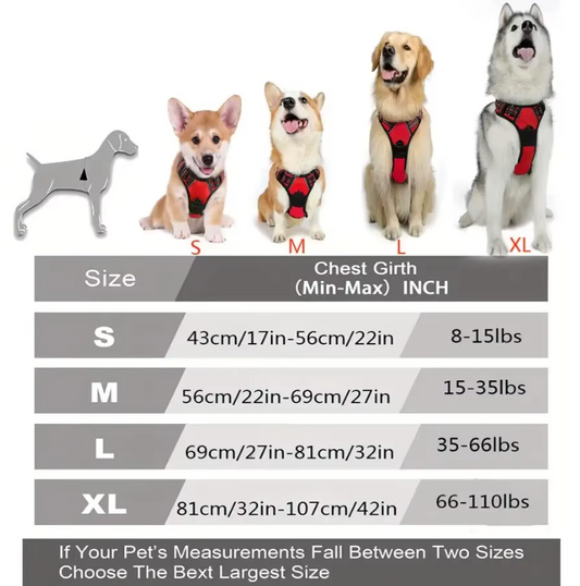 Dog Collars Harness Big Vests Leash