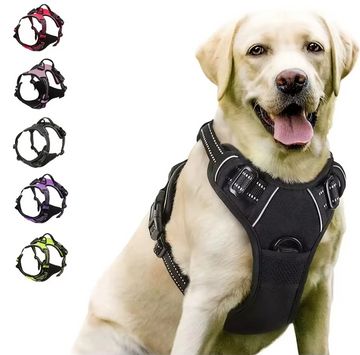 Dog Collars Harness Big Vests Leash